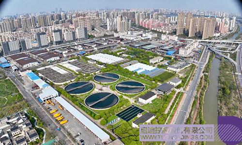 1710209631213545.jpg 8c.jpg