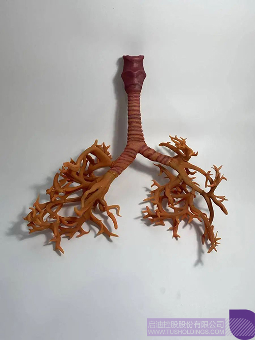 1718939717236420.jpg 微信图片_20240621103010c.jpg